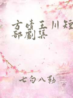 方晴王川短剧全部剧集