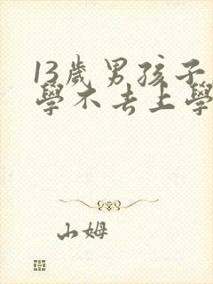 13岁男孩子厌学不去上学怎么办