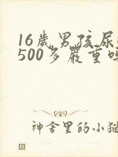16岁男孩尿酸500多严重吗