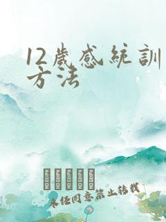 12岁感统训练方法