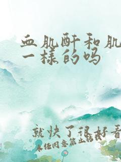 血肌酐和肌酐是一样的吗