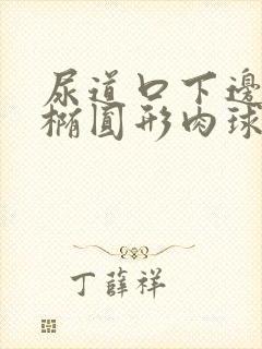 尿道口下边有个椭圆形肉球