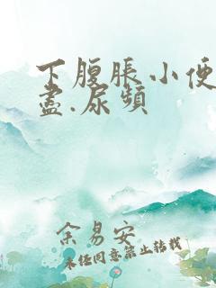 下腹胀小便尿不尽.尿频