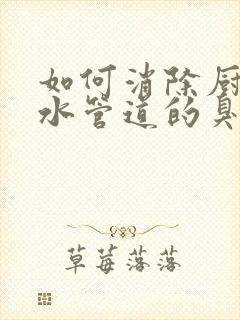 如何消除厨房下水管道的臭味