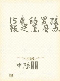 15岁的男孩子叛逆怎么办