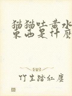 猫猫吐黄水不吃东西是什么原因