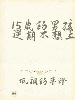 15岁的男孩叛逆期不想上学