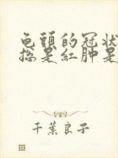 龟头的冠状沟里总是红肿是什么情况