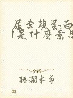 尿常规蛋白质 1是什么意思