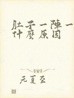 肚子一阵一阵痛什么原因