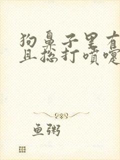 狗鼻子里有血而且总打喷嚏怎么回事