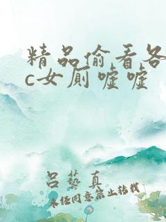 精品偷看各类wc女厕嘘嘘