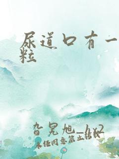 尿道口有一小肉粒