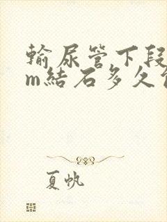 输尿管下段4mm结石多久能排出