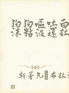 狗狗呕吐白色泡沫粘液还拉稀