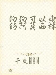 狗狗可以吃人吃的阿莫西林吗