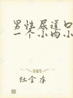 男性尿道口长了一个小肉小米粒