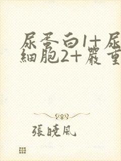 尿蛋白1+尿白细胞2+严重吗