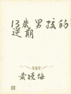 13岁男孩的叛逆期