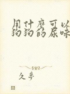 用什么可以去除狗狗的尿味