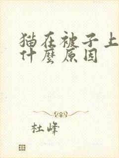 猫在被子上尿是什么原因