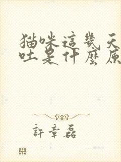 猫咪这几天老是吐是什么原因