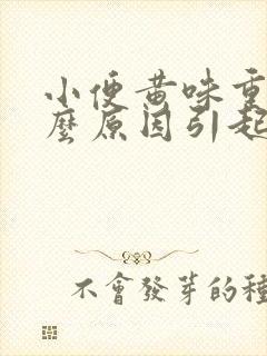 小便黄味重是什么原因引起的