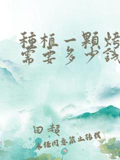 种植一颗烤瓷牙需要多少钱