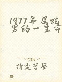 1977年属蛇男的一生命运