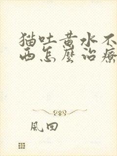 猫吐黄水不吃东西怎么治疗