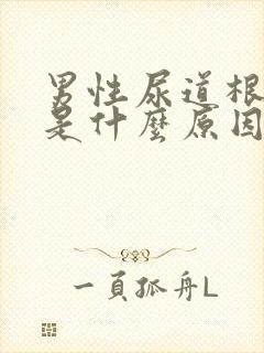 男性尿道根部痒是什么原因