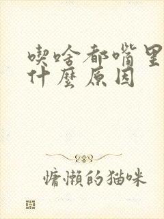 吃啥都嘴里苦是什么原因