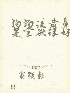 狗狗流黄鼻涕但是食欲很好