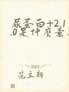 尿蛋白+2 1.0是什么意思