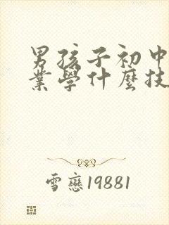 男孩子初中没毕业学什么技术好