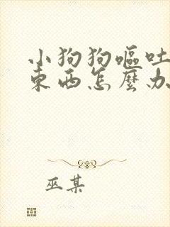 小狗狗呕吐不吃东西怎么办没精神