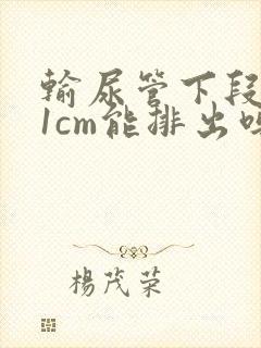 输尿管下段结石1cm能排出吗