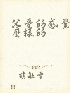 父爱的感觉是什么样的