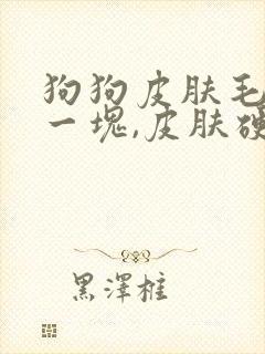 狗狗皮肤毛掉了一块,皮肤硬硬的发红