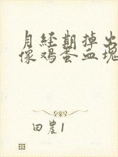 月经期掉出一坨像鸡蛋血块