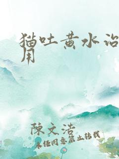 猫吐黄水治疗费用