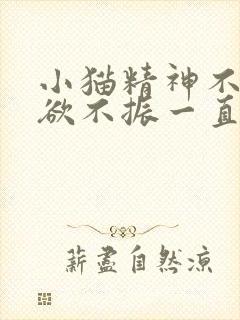 小猫精神不好食欲不振一直蹲在一个地方