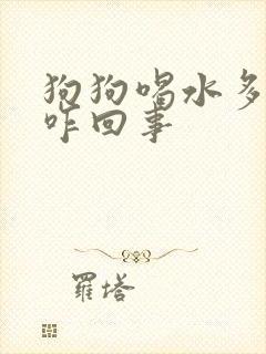 狗狗喝水多尿多咋回事