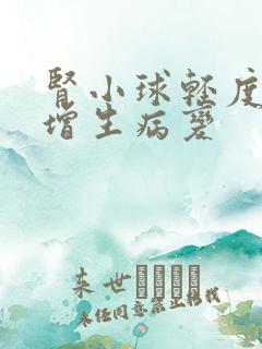 肾小球轻度系膜增生病变