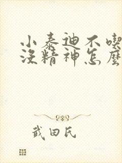 小泰迪不吃东西没精神怎么办