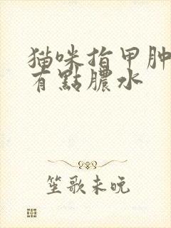 猫咪指甲肿了还有点脓水