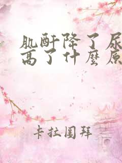 肌酐降了尿蛋白高了什么原因?