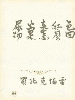 尿出来红色分泌物是怎么回事