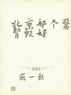 北京哪个医院看肾较好