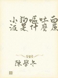 小狗呕吐白色粘液是什么原因